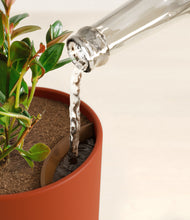 Load image into Gallery viewer, Earth Red stand:all