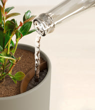 Load image into Gallery viewer, Sage Green stand:all