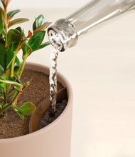 Load image into Gallery viewer, Sandy Pink stand:all