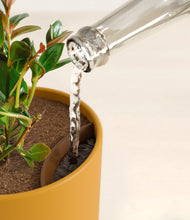 Load image into Gallery viewer, Sunset Orange stand:all