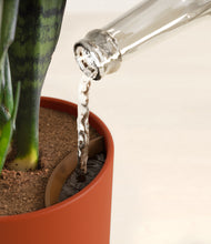 Load image into Gallery viewer, Earth Red stand:all