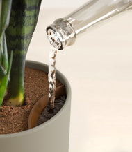 Load image into Gallery viewer, Sage Green stand:all