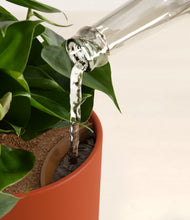 Load image into Gallery viewer, Earth Red stand:all