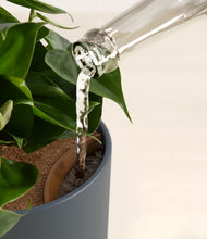 Load image into Gallery viewer, Iron Gray stand:all