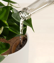 Load image into Gallery viewer, Natural Bamboo stand:all