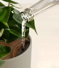 Load image into Gallery viewer, Sage Green stand:all