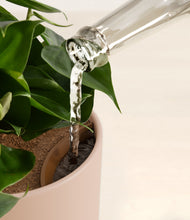 Load image into Gallery viewer, Sandy Pink stand:all