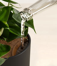 Load image into Gallery viewer, Stone Black stand:all