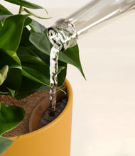 Load image into Gallery viewer, Sunset Orange stand:all