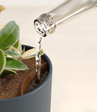 Load image into Gallery viewer, Iron Gray stand:all