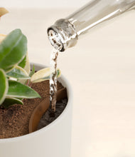 Load image into Gallery viewer, Natural Bamboo stand:all