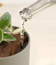 Load image into Gallery viewer, Sage Green stand:all