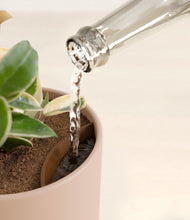 Load image into Gallery viewer, Sandy Pink stand:all