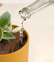 Load image into Gallery viewer, Sunset Orange stand:all