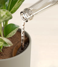 Load image into Gallery viewer, Sage Green stand:all