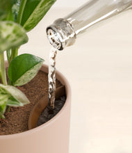 Load image into Gallery viewer, Sandy Pink stand:all