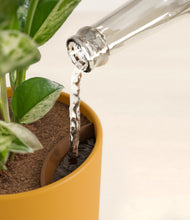 Load image into Gallery viewer, Sunset Orange stand:all