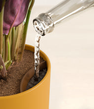 Load image into Gallery viewer, Sunset Orange stand:all