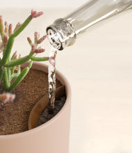 Load image into Gallery viewer, Sandy Pink stand:all