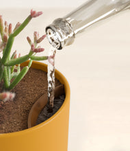 Load image into Gallery viewer, Sunset Orange stand:all