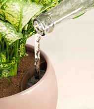 Load image into Gallery viewer, Calm Rose stand:all