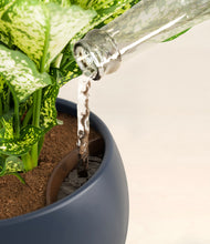 Load image into Gallery viewer, Deep Navy stand:all