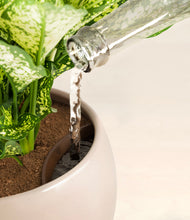 Load image into Gallery viewer, Desert Brown stand:all