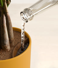 Load image into Gallery viewer, Sunset Orange stand:all