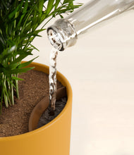 Load image into Gallery viewer, Sunset Orange stand:all