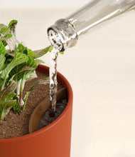 Load image into Gallery viewer, Earth Red stand:all