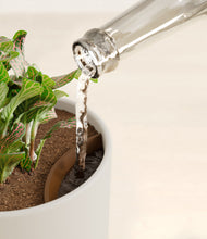 Load image into Gallery viewer, Natural Bamboo stand:all