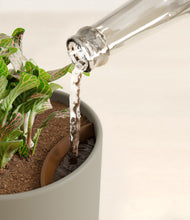 Load image into Gallery viewer, Sage Green stand:all