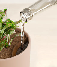 Load image into Gallery viewer, Sandy Pink stand:all