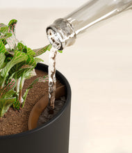 Load image into Gallery viewer, Stone Black stand:all