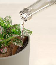 Load image into Gallery viewer, Sage Green stand:all