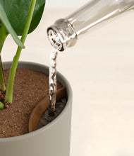 Load image into Gallery viewer, Sage Green stand:all