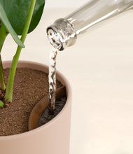 Load image into Gallery viewer, Sandy Pink stand:all