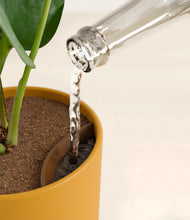 Load image into Gallery viewer, Sunset Orange stand:all