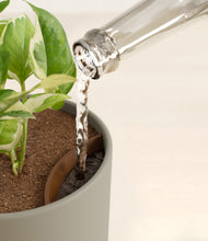 Load image into Gallery viewer, Sage Green stand:all