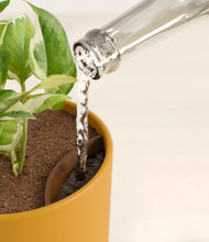 Load image into Gallery viewer, Sunset Orange stand:all