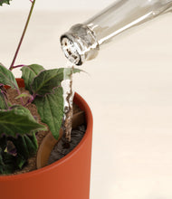 Load image into Gallery viewer, Earth Red stand:all