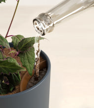 Load image into Gallery viewer, Iron Gray stand:all