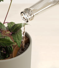 Load image into Gallery viewer, Sage Green stand:all