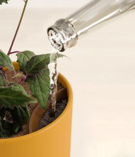 Load image into Gallery viewer, Sunset Orange stand:all