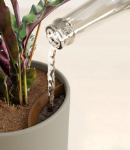 Load image into Gallery viewer, Sage Green stand:all