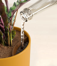 Load image into Gallery viewer, Sunset Orange stand:all