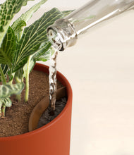 Load image into Gallery viewer, Earth Red stand:all