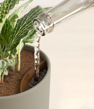 Load image into Gallery viewer, Sage Green stand:all