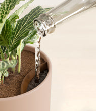 Load image into Gallery viewer, Sandy Pink stand:all