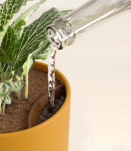 Load image into Gallery viewer, Sunset Orange stand:all